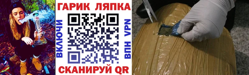 Гашиш гарик  закладки  Сальск 