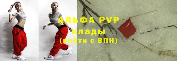 шишки Армянск
